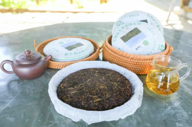 太华寻茶｜龙珠湖畔，一饼手工江南白茶