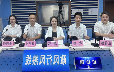 和桥镇《政风行风热线》直播实录