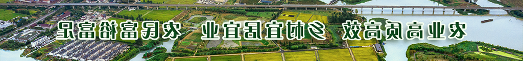 农业高质高效