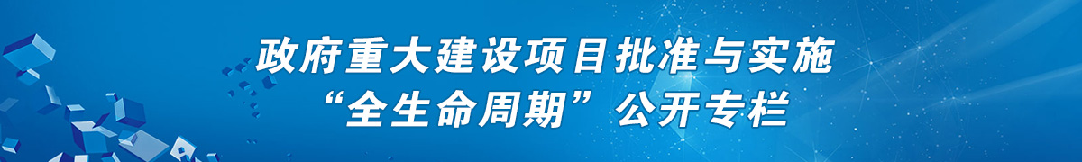 政府重大建设项目批准与实施