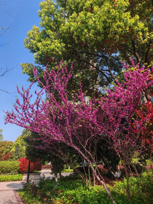 澳门永利皇宫官网