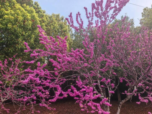 澳门永利皇宫官网
