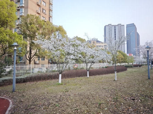 澳门永利皇宫官网