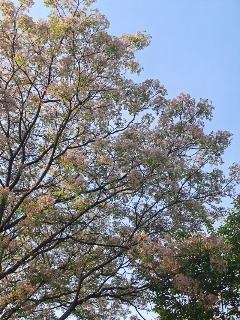 澳门永利皇宫官网