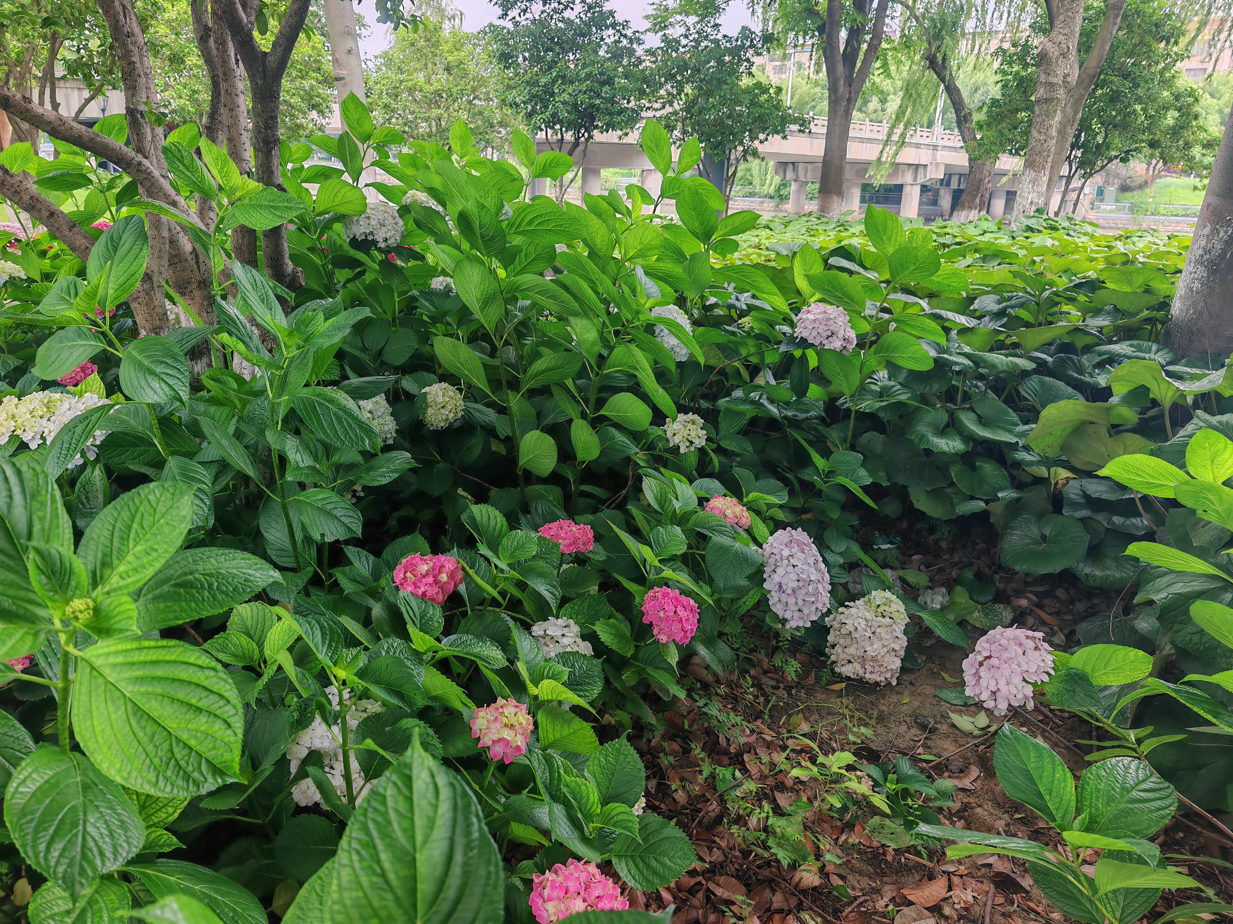 澳门永利皇宫官网