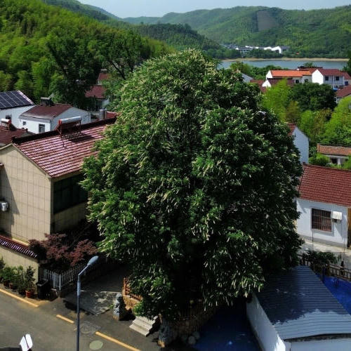 澳门永利皇宫官网