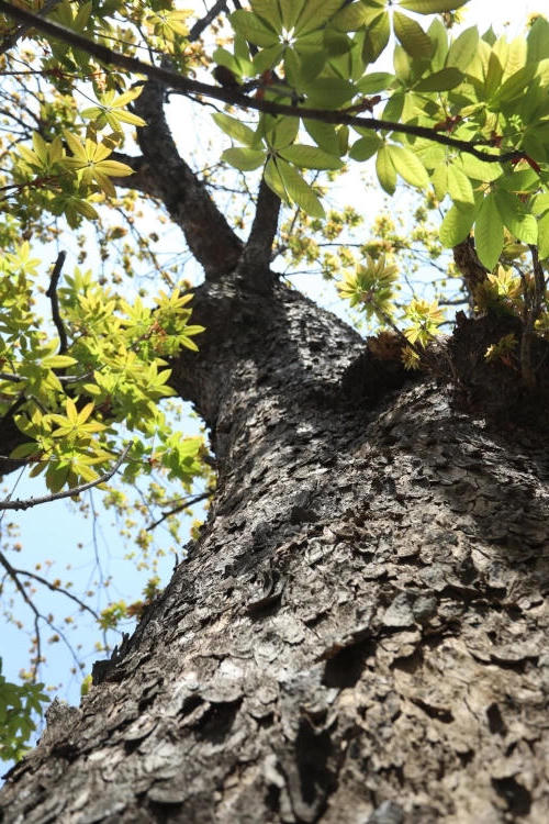 澳门永利皇宫官网
