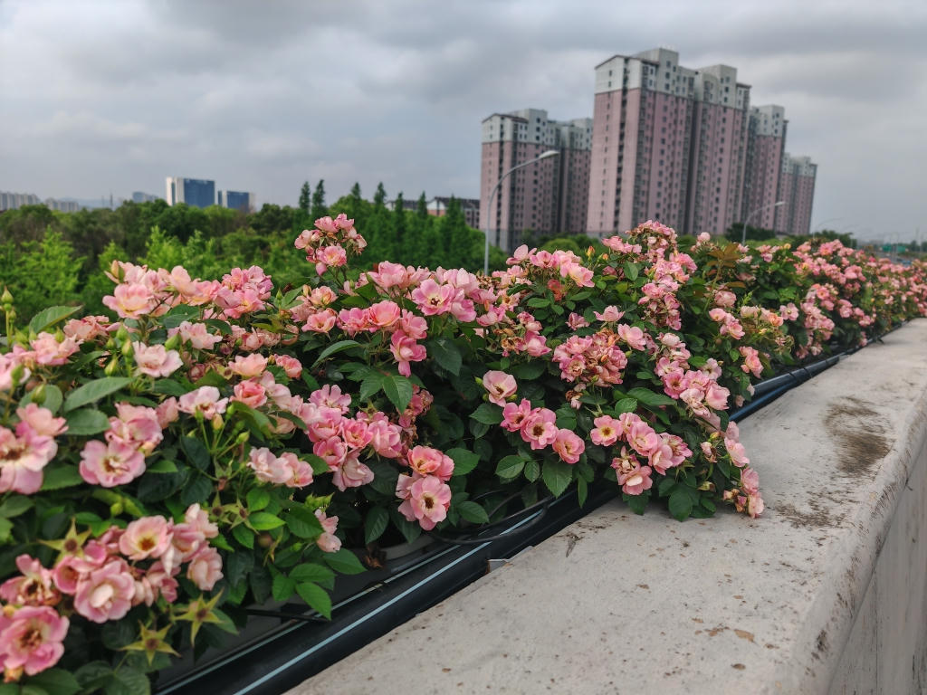 澳门永利皇宫官网