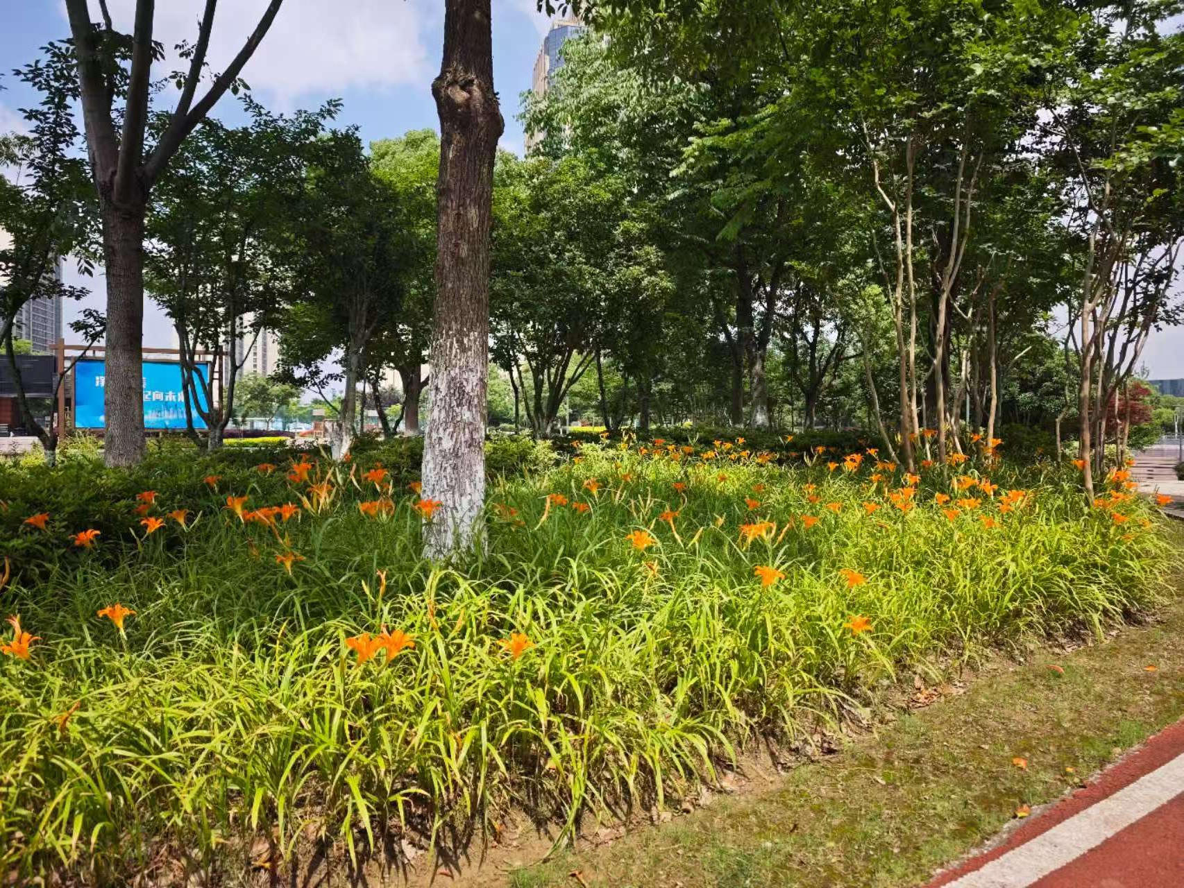 澳门永利皇宫官网