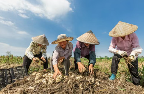 澳门永利皇宫官网