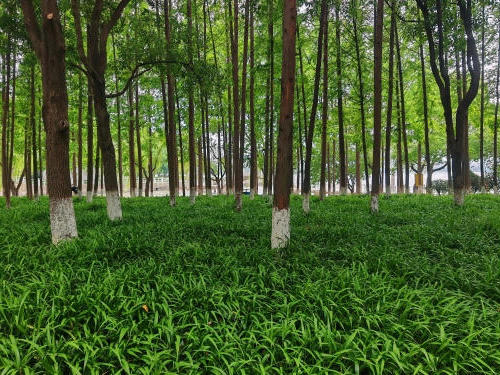 澳门永利皇宫官网