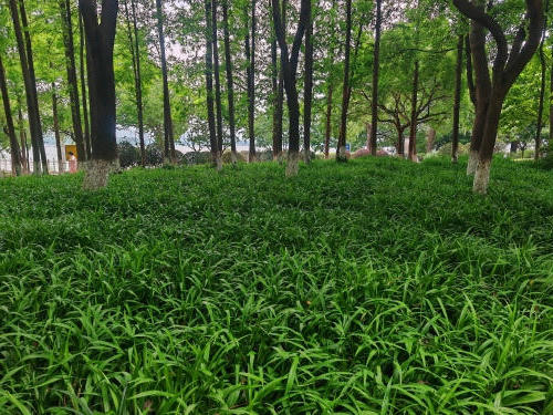 澳门永利皇宫官网