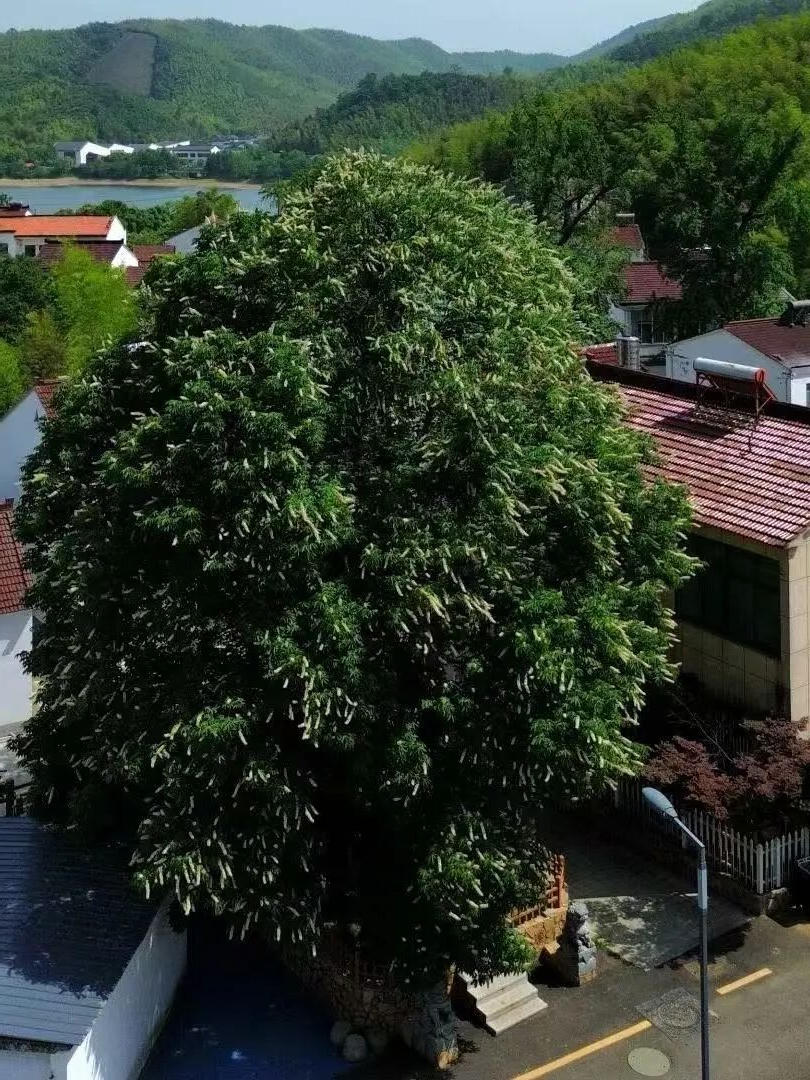 澳门永利皇宫官网