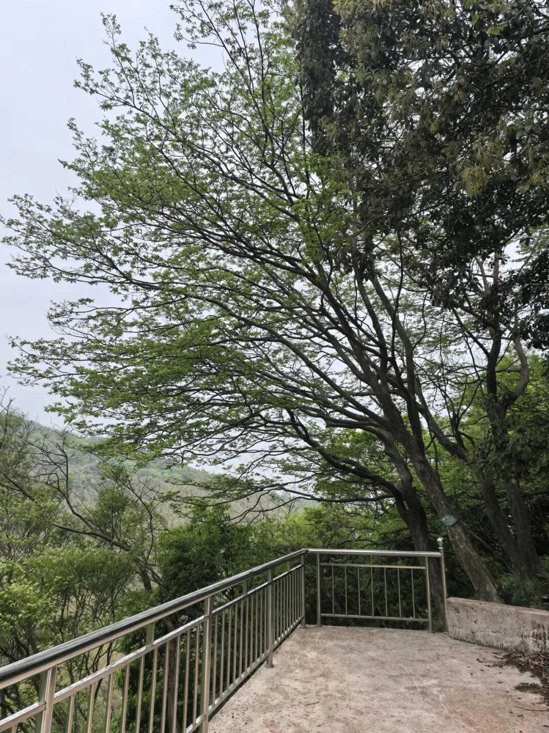 澳门永利皇宫官网