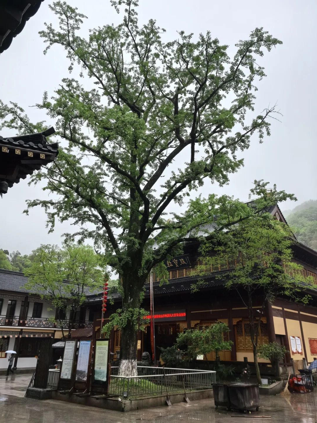 澳门永利皇宫官网